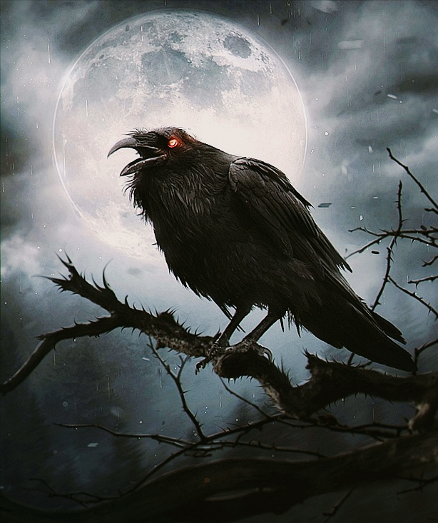 除了"胡黄白柳灰",民间还流传这5种邪门动物,遇到千万别招惹