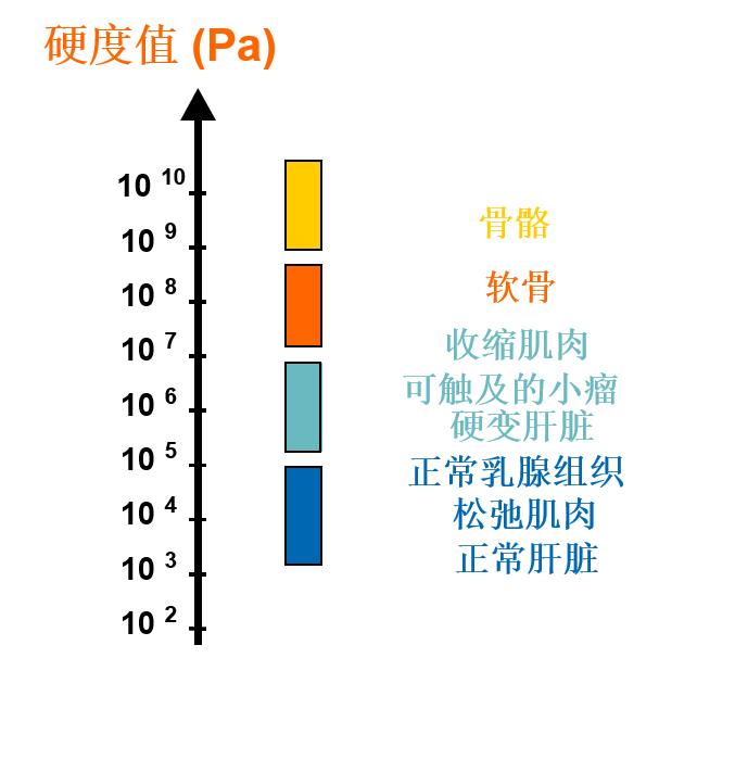 世界肝炎日:肝硬度值检测在慢性肝病诊治中的重要性