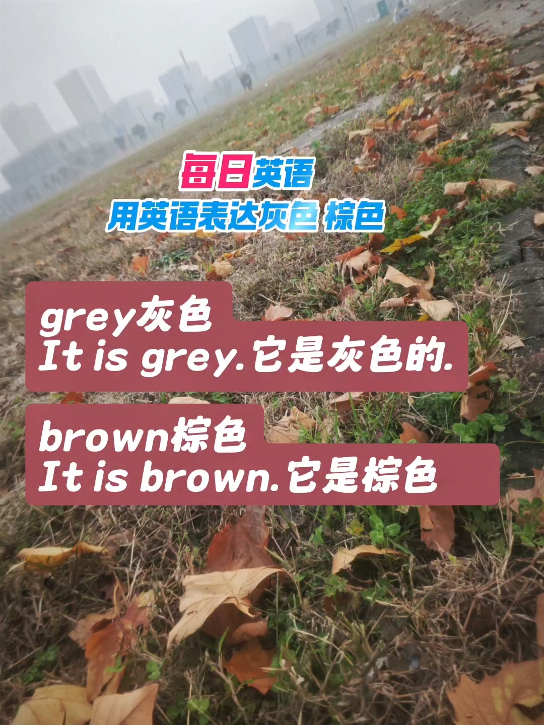 每日英语 用英语表达灰色棕色