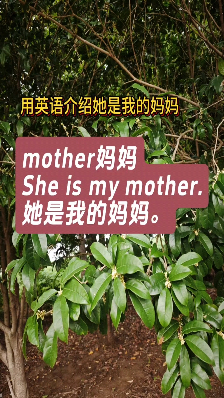用英语介绍她是我的妈妈.