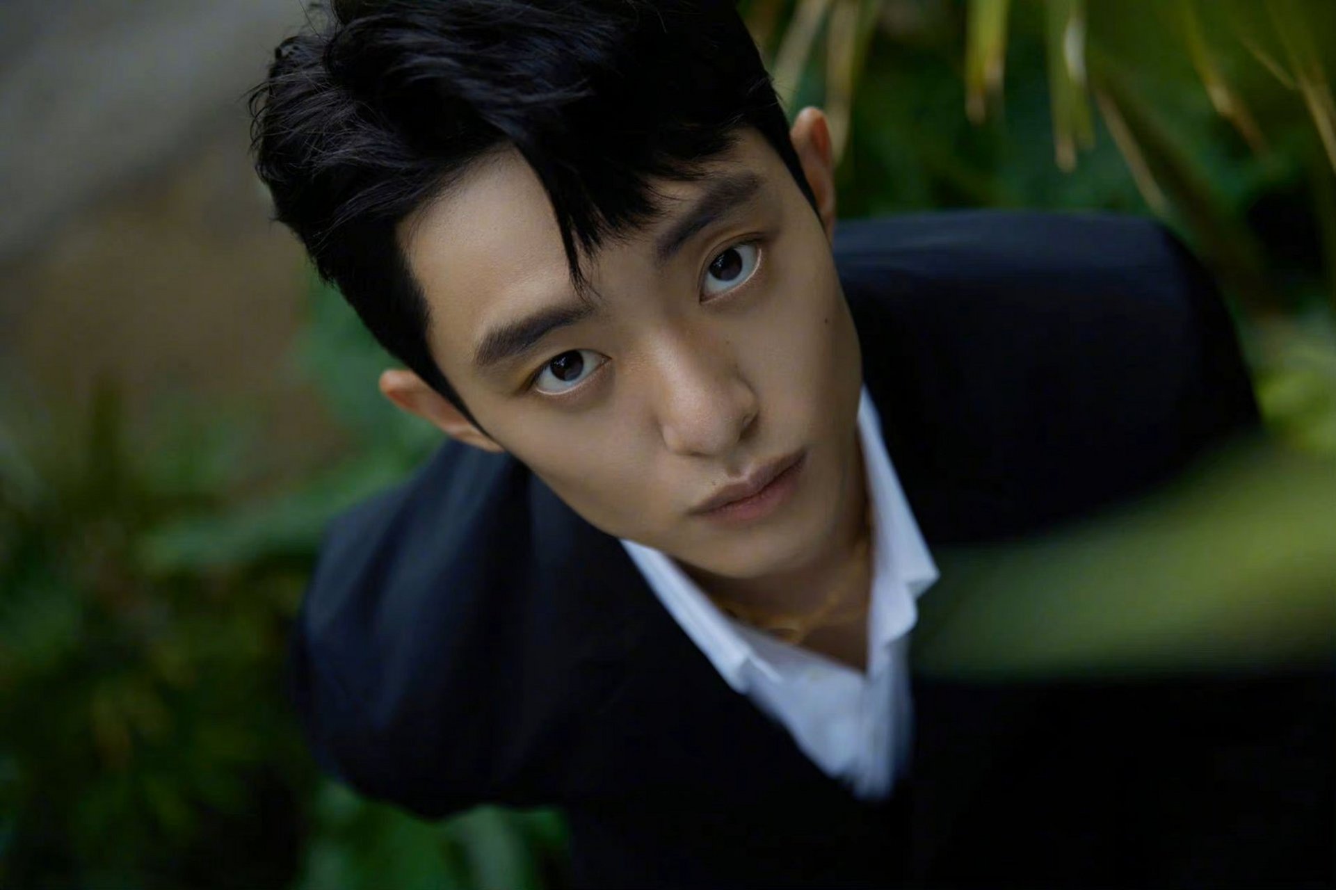 白宇帆工作室转发于适黑文风波:道歉之余引发网友热议