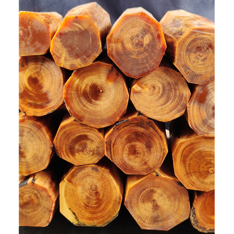 琥珀木:珍贵的木材品种