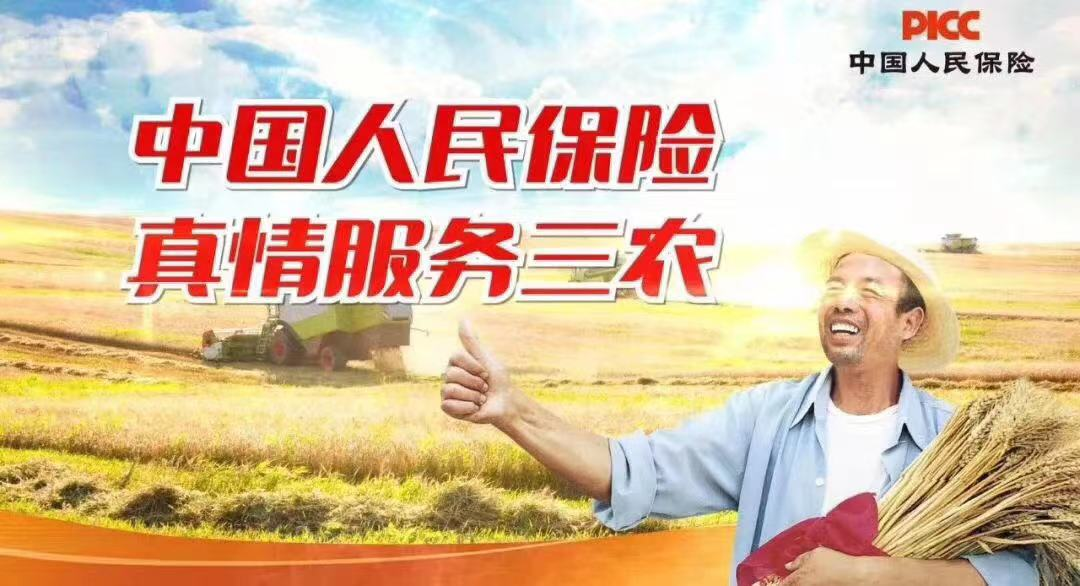 農險科技賦能資訊(農險科技賦能資訊稿)下載