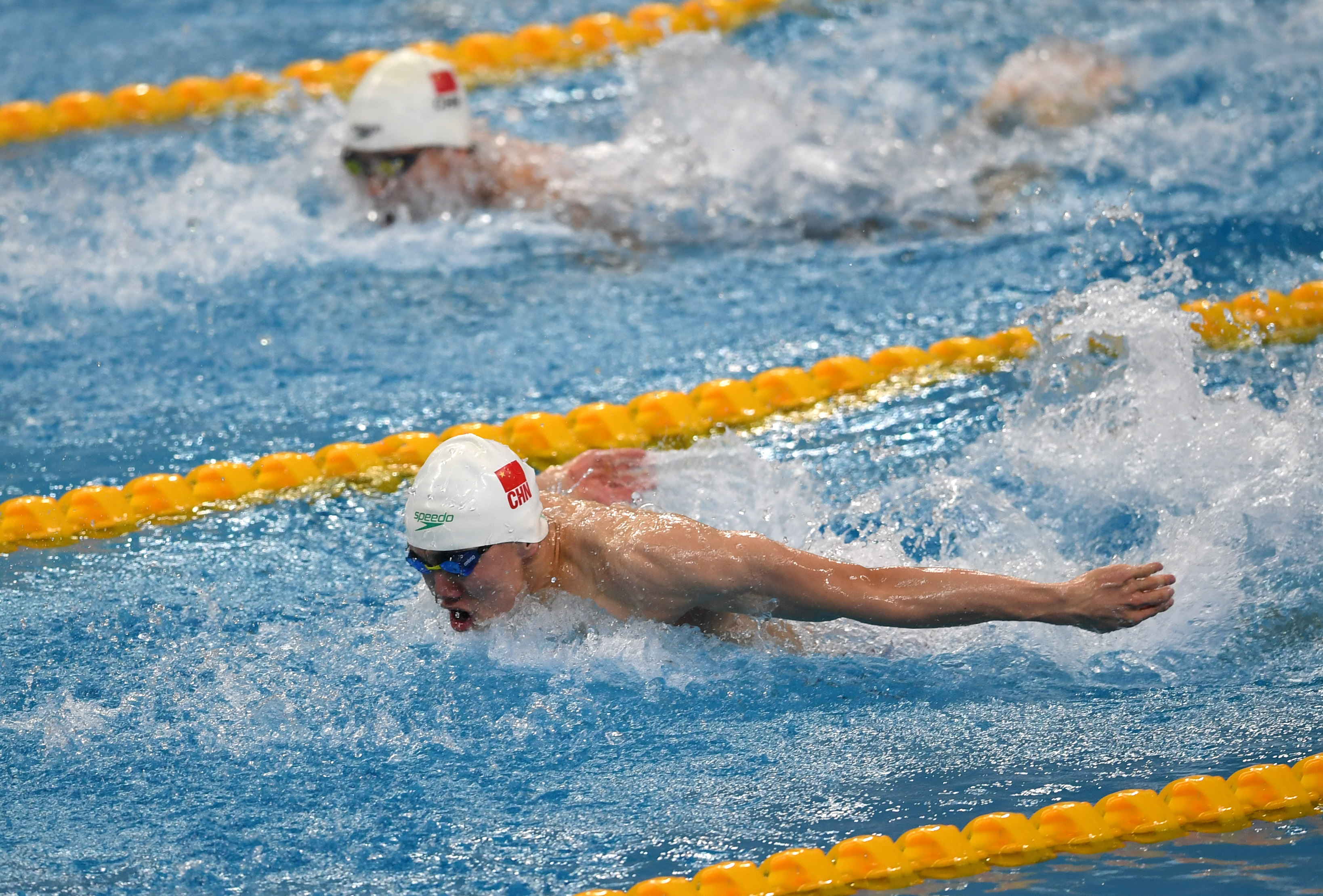 游泳——全国冠军赛:男子100米蝶泳预赛赛况
