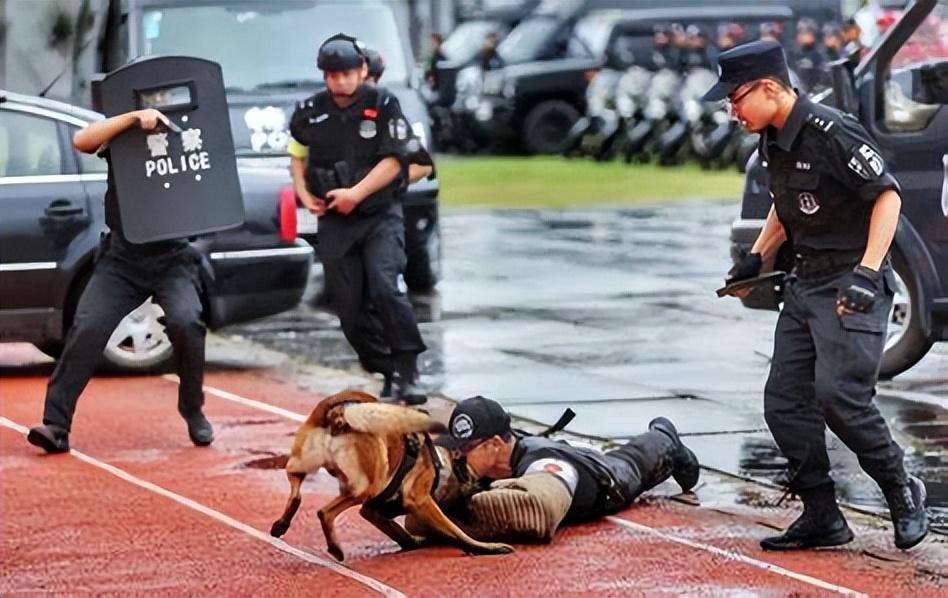 《犬王》导演姚守岗:为艺术炸死功勋犬,笑着说心里其实也不好受