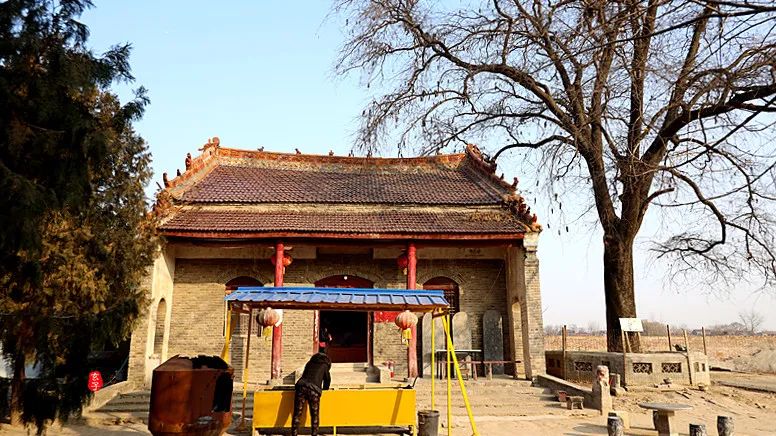 淮阳四通镇有座千年古寺,寺内有两棵奇特的古树