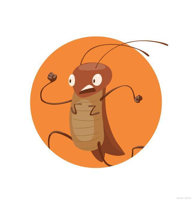 九成人都不知蟑螂害怕的是啥?我有1个蠢招:让蟑螂"消失不见"