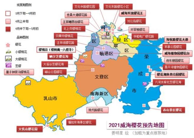 威海樱花地图,2021版!