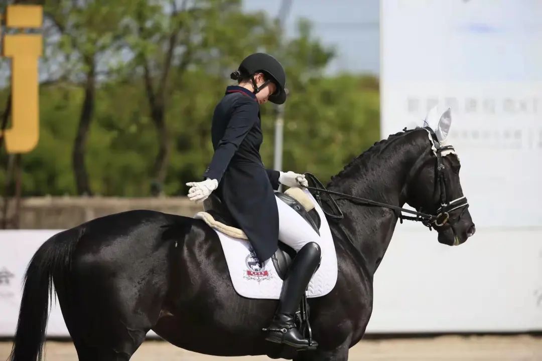 青少年舞步骑手吴悦只有当家长和青少年对马术,马匹及马匹交易有一定
