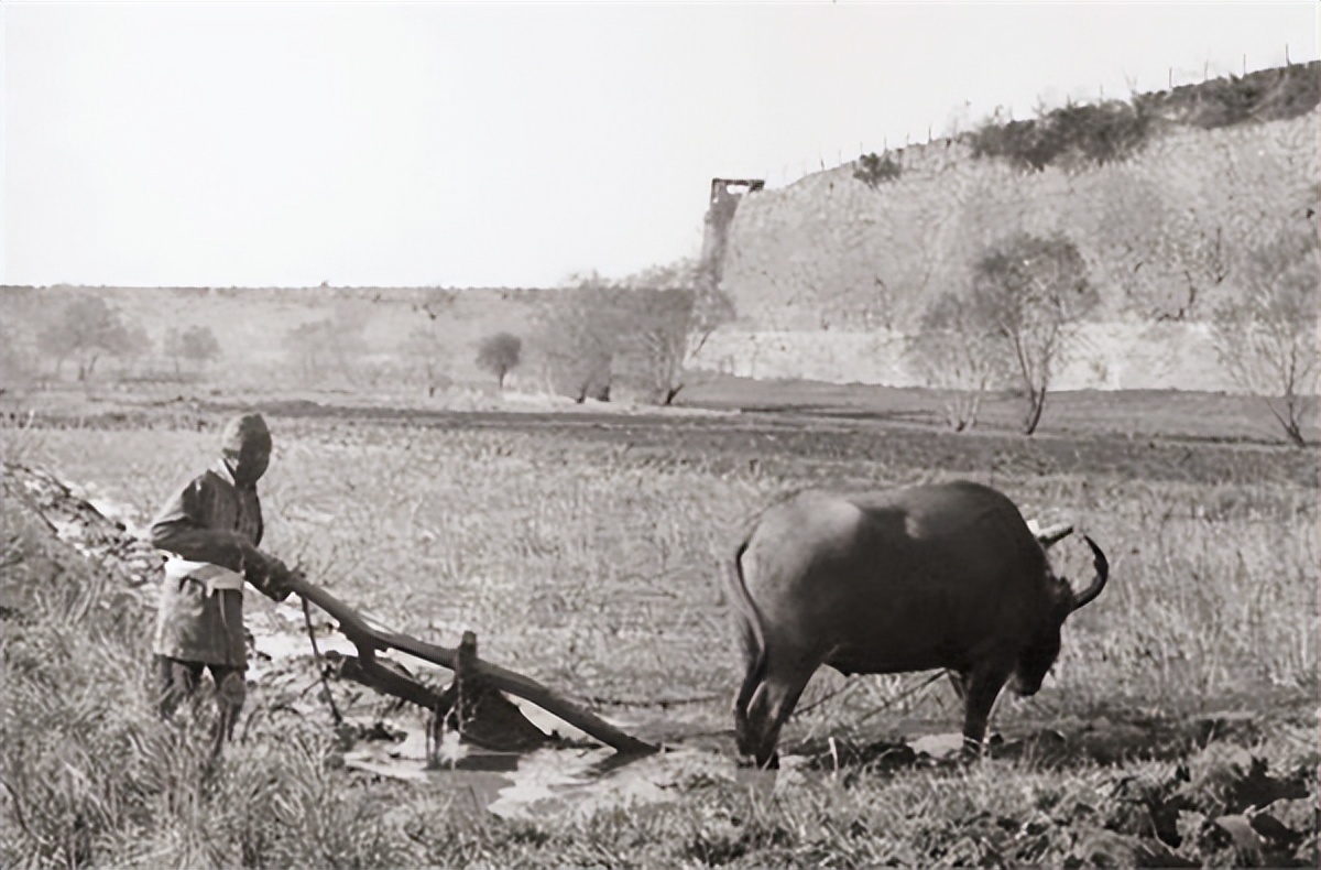 晚清时地主真实生活照,跟电视上演的不同,远比想象中要苦
