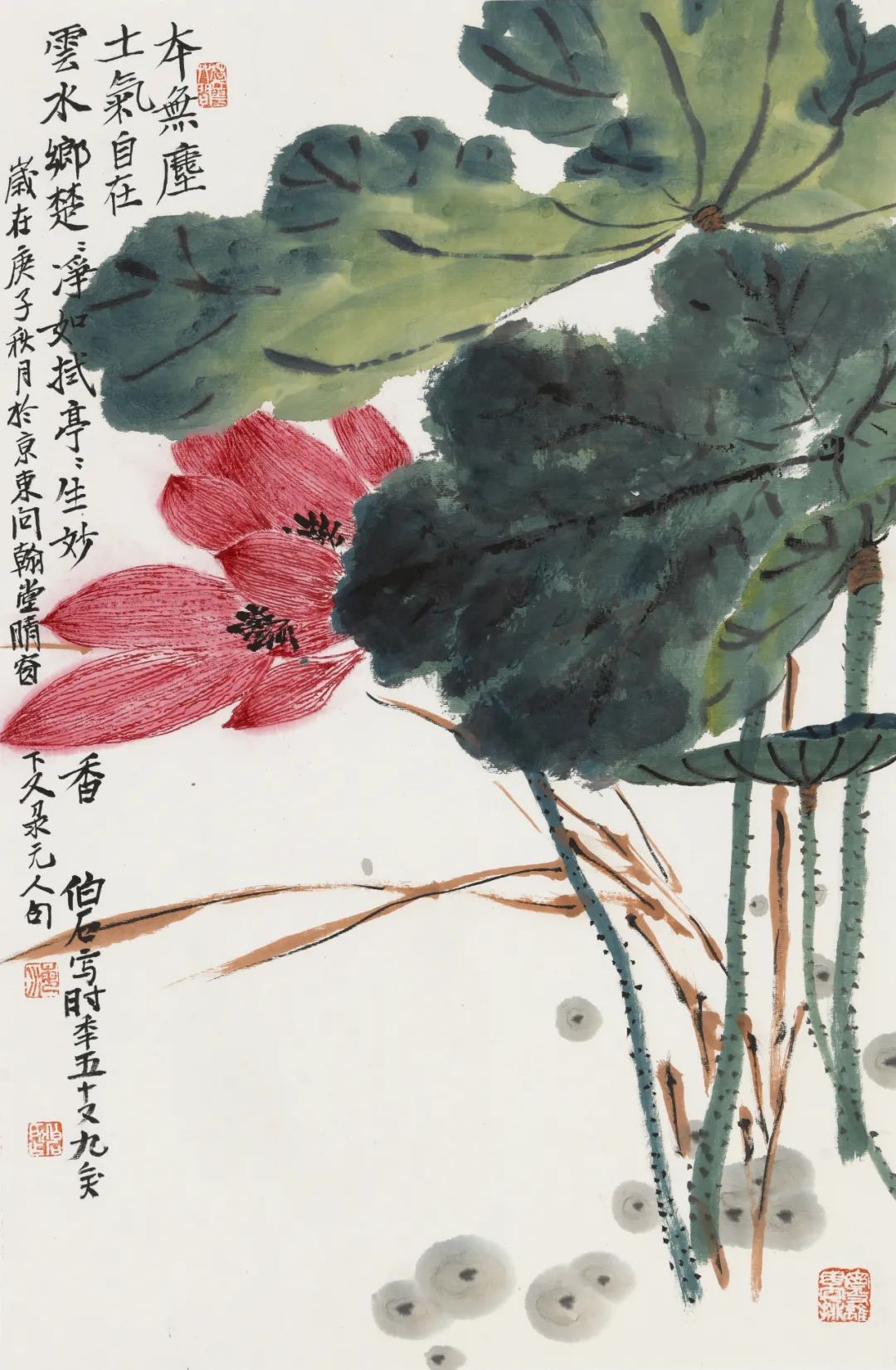 海德恕国画花鸟画作品欣赏