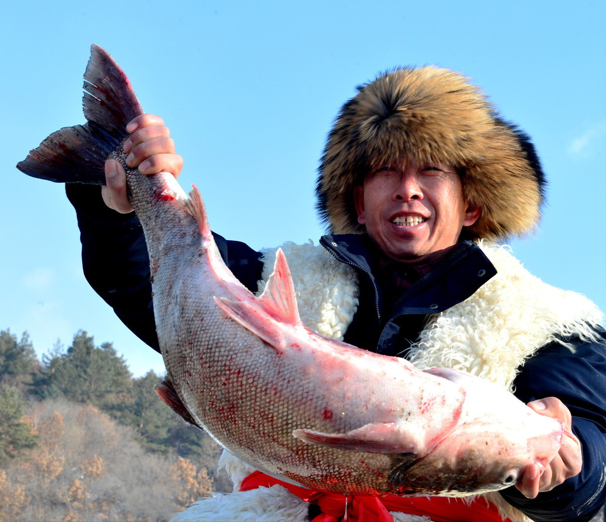 镜泊湖大鱼图片