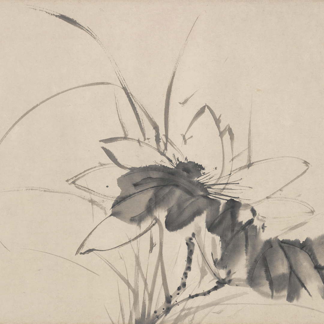 访古丨徐渭 · 十二墨花图