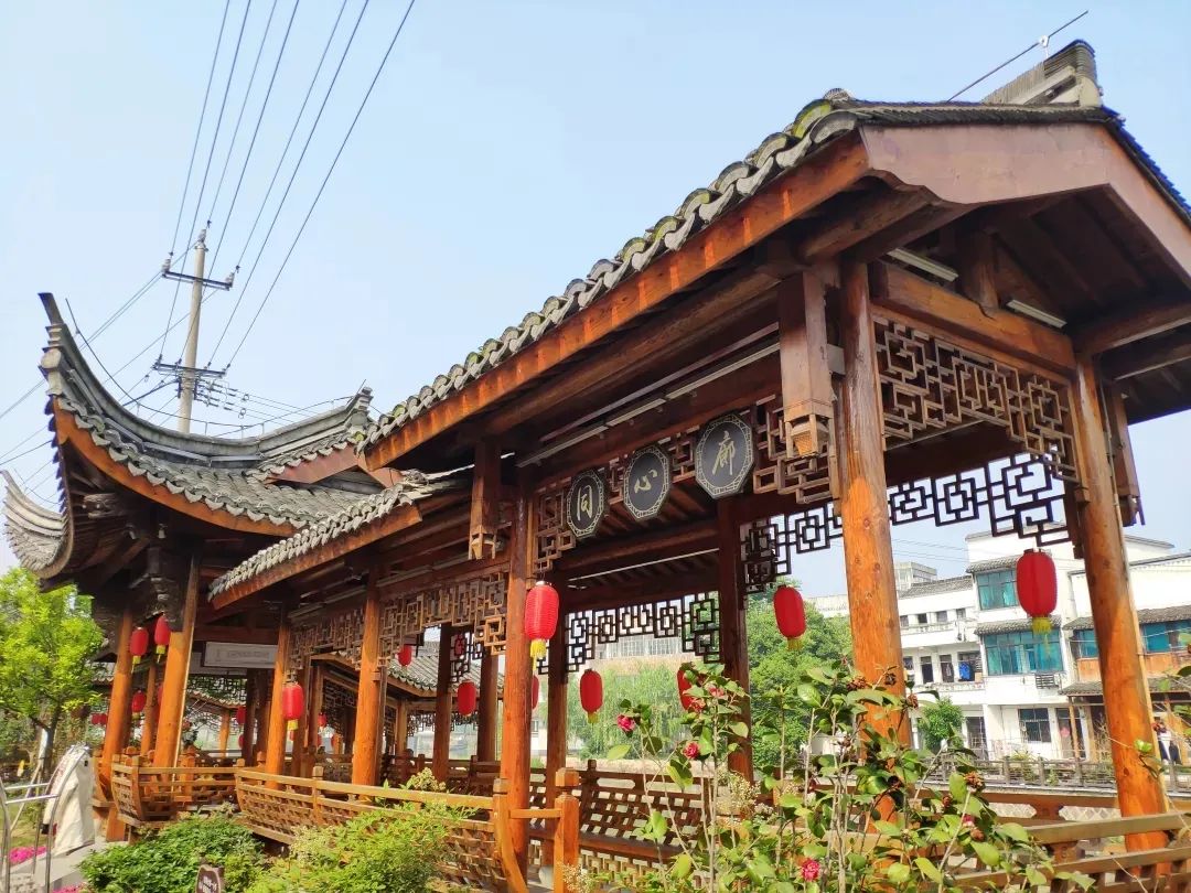 全市新乡贤工作系列展播 |⑨德清县洛舍镇篇