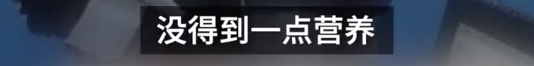 |准研究生获刑3年，竟因协助高考生作弊，网友感叹：何必呢？自毁前途！