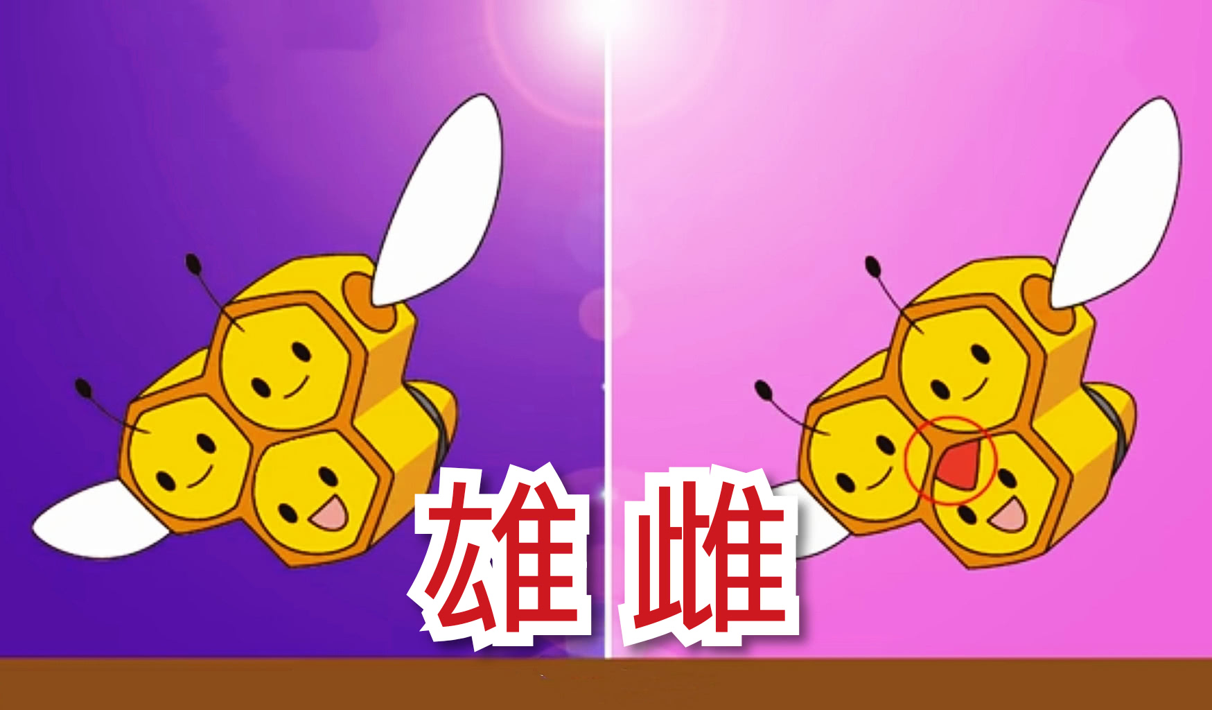 《宝可梦八卦》可可爱爱,多多脑袋,这里都是三头怪!