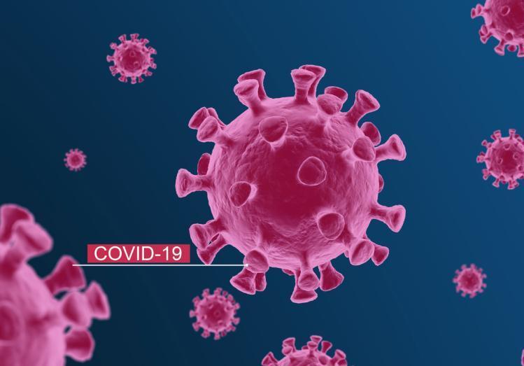  2019年发生了什么病毒变异(2019年爆发了什么病毒)