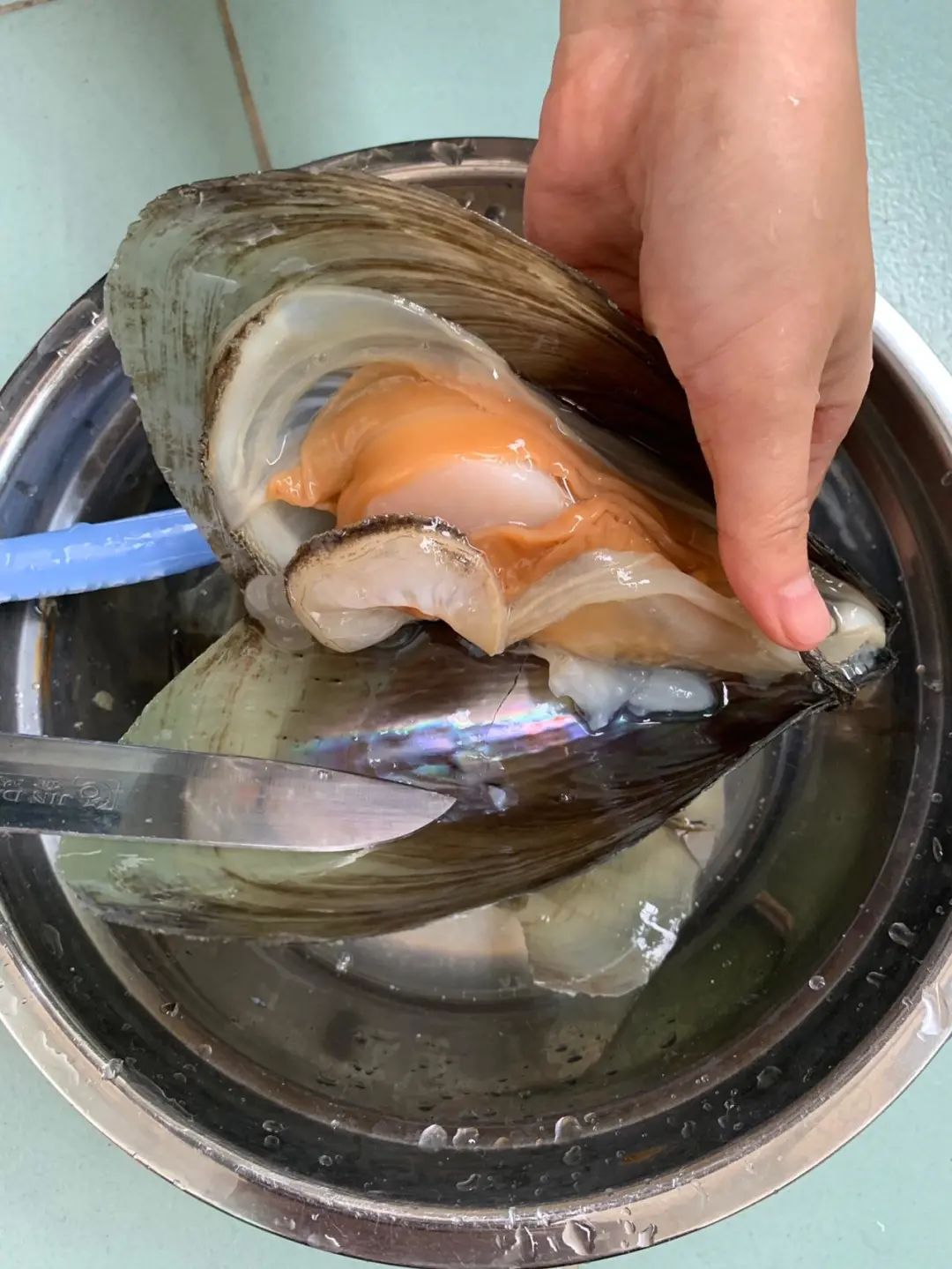 不管什么贝类越焯水越脏?