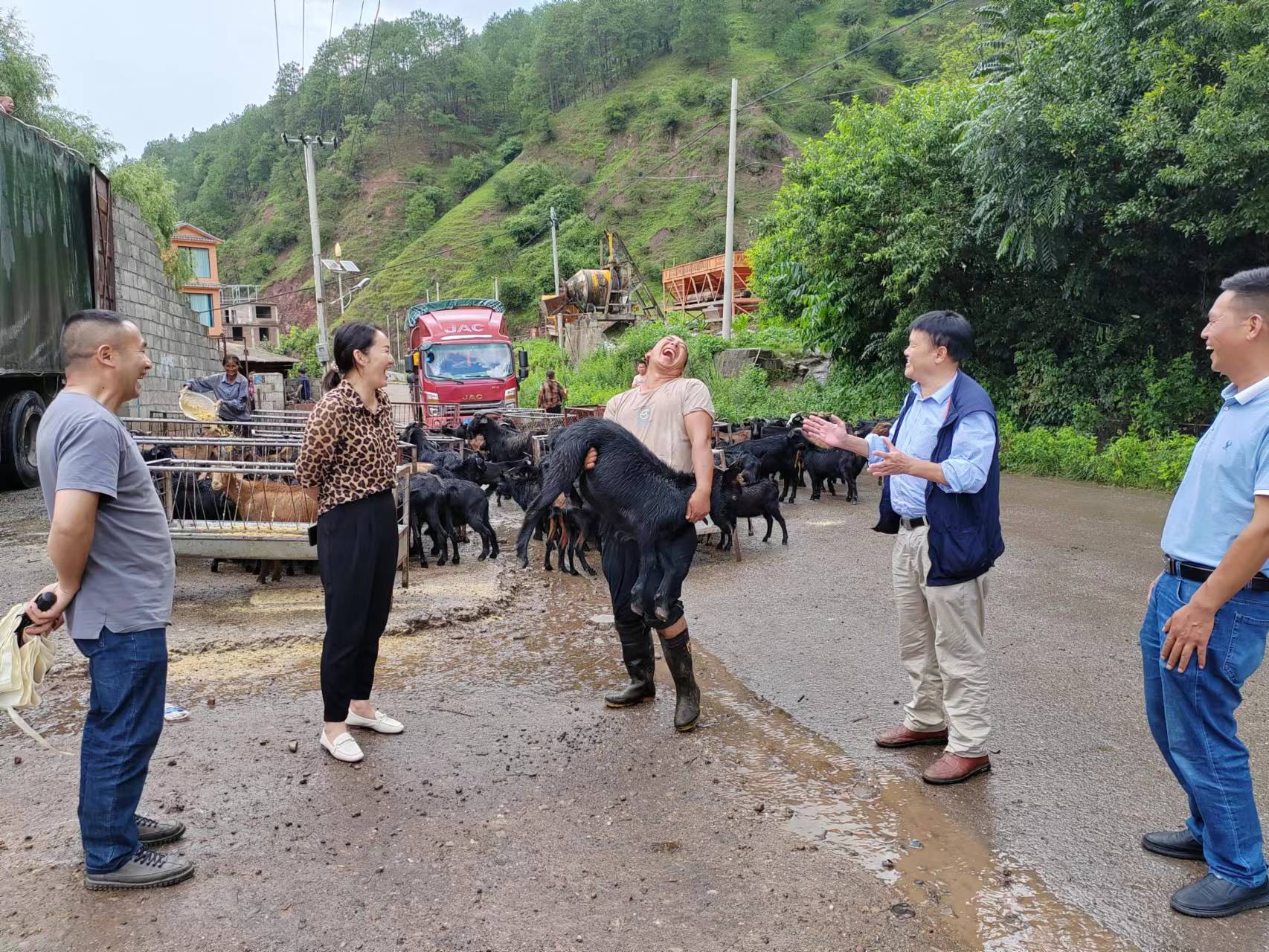 大理州云龙县团结乡:培育壮大养殖业 乡村振兴添动能