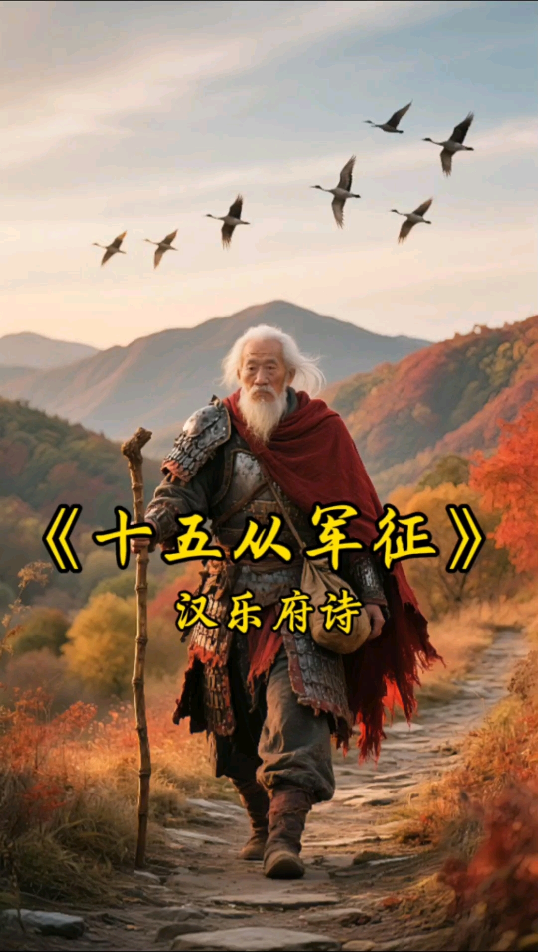 十五从军征,八十始得归