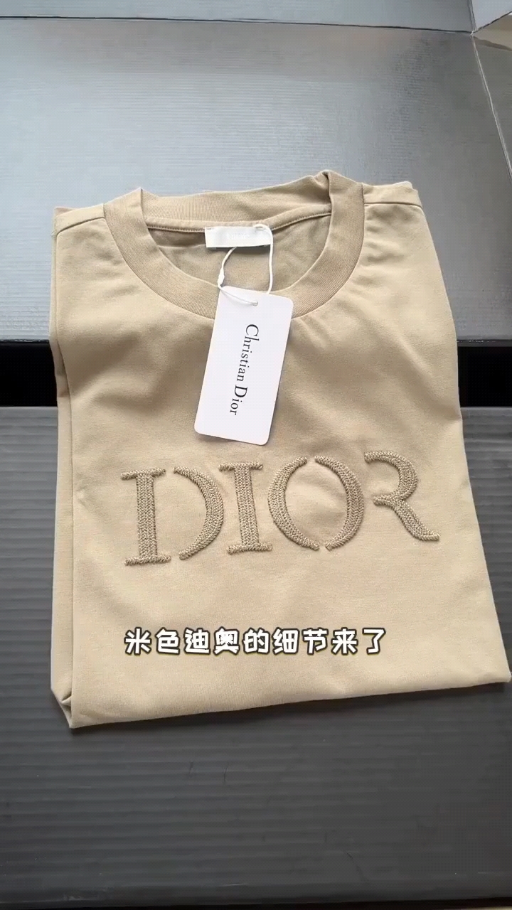 迪奥新款刺绣休闲短袖上衣