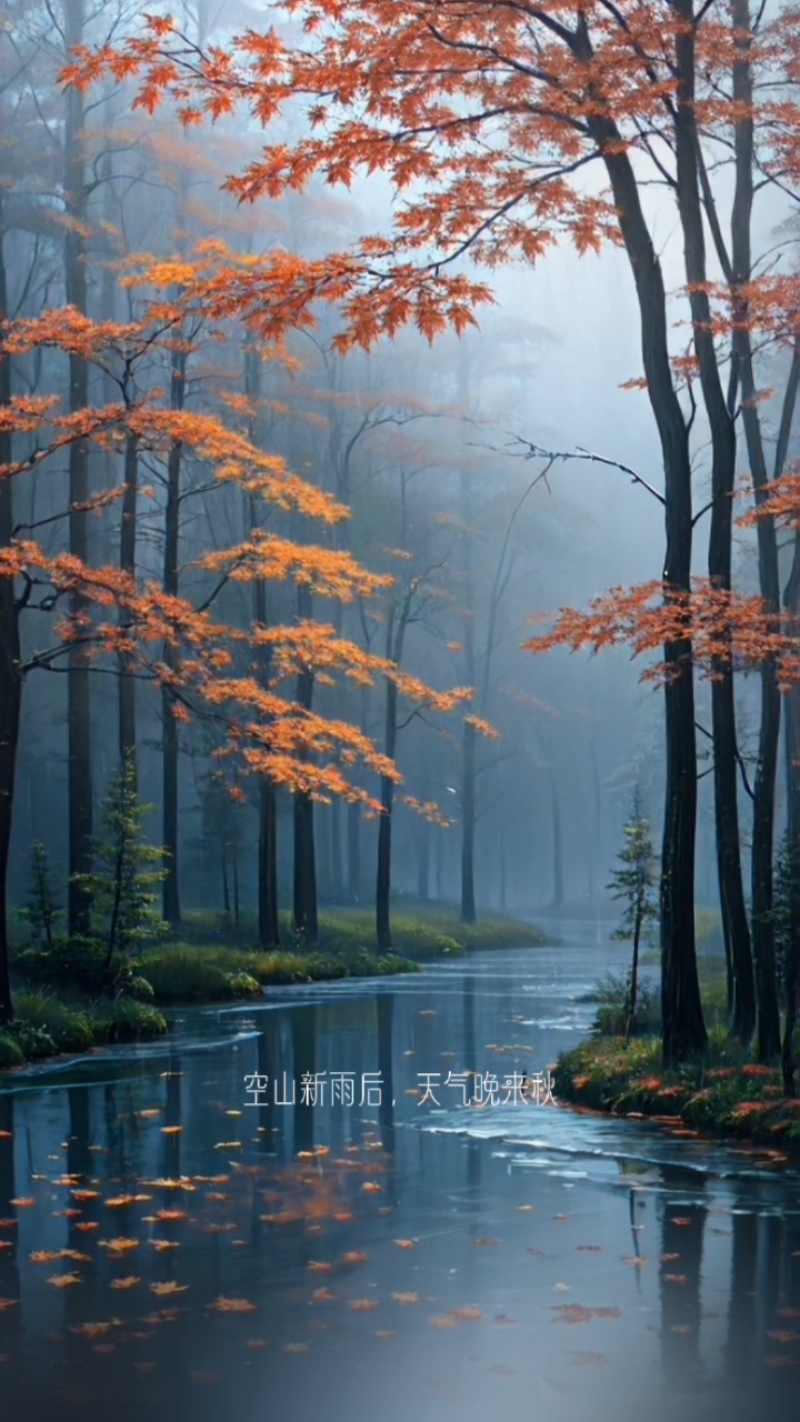 空山新雨后 背景图图片