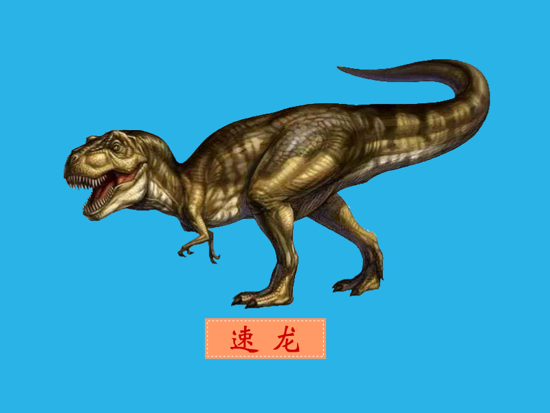 恐龙科普第10期:这5种远古时期的恐龙你认识吗?