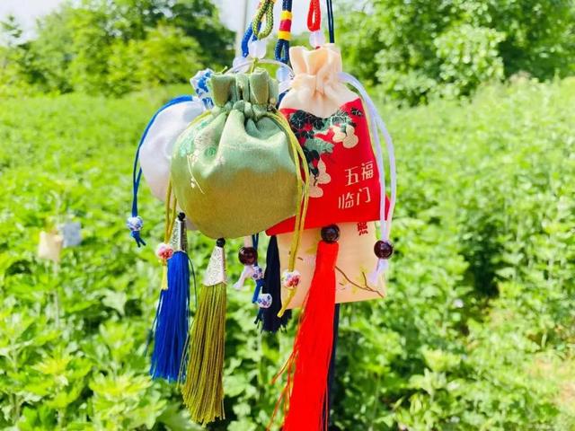 "端午挂艾草,兔年无烦恼"?挂了几千年,驱邪镇宅宝!