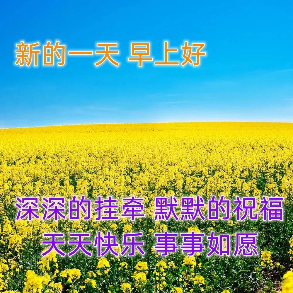 2023年早上好最新图片 早上问候语大全早安问候祝福语