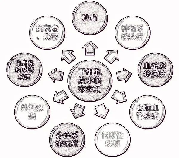 中国首部干细胞主题电影《不老奇事:干细胞实现「冻龄永生?