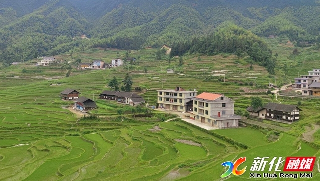 乡村振兴|文田镇芭蕉山村 乡村美景入画来