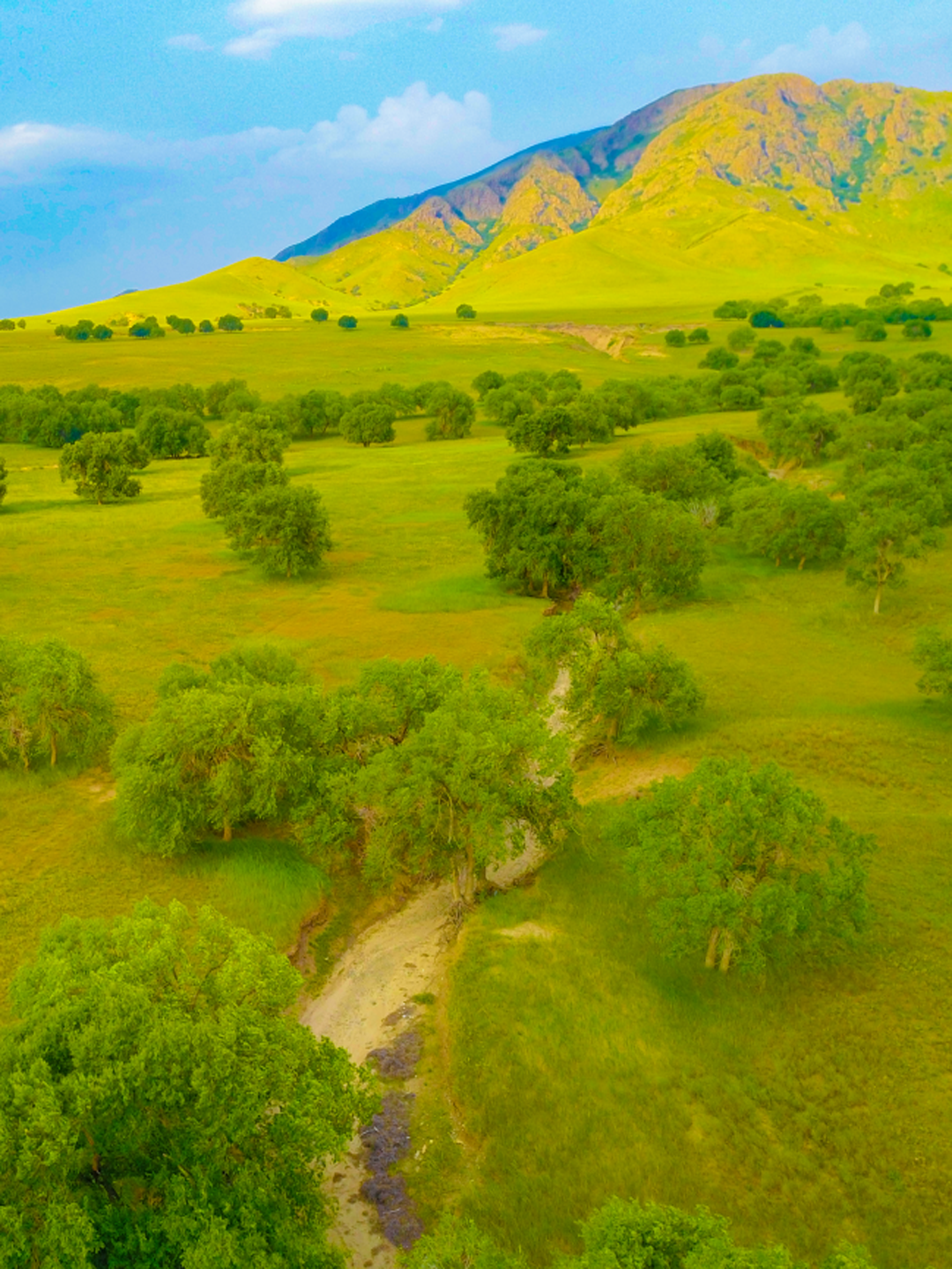 寻美中华|到了赤峰,一定来看看美丽草原赛罕乌拉