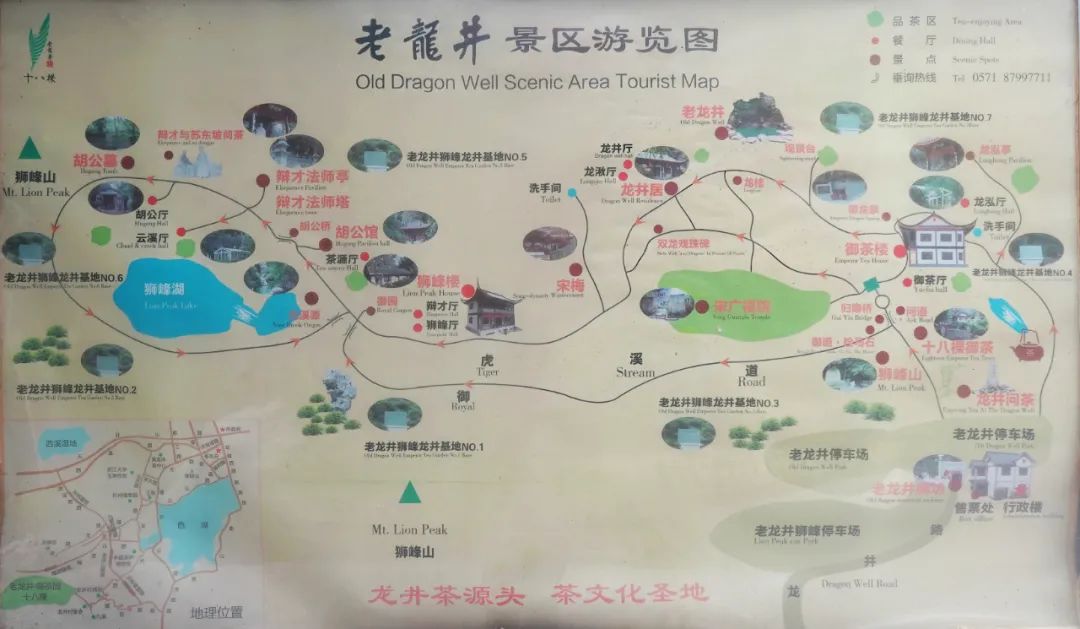 杭州狮峰山下,龙井泉边,有乾隆皇帝的十八棵御茶树