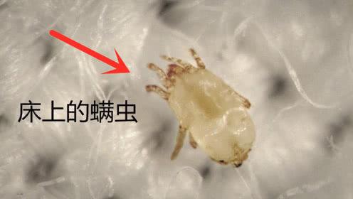 住着"几百万"的房,却"睡不起"一次好觉,说的是你吗?