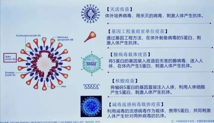 成功了!新冠病毒的克星,开始向特殊人群投入使用!