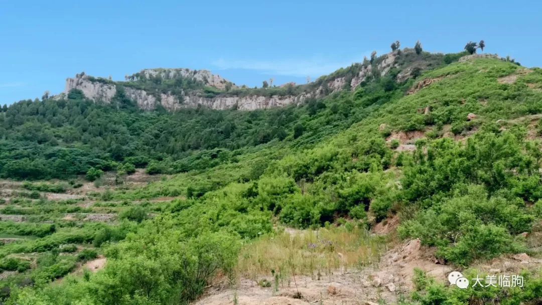 摄影:张明友粟山粟山位于临朐城北1.