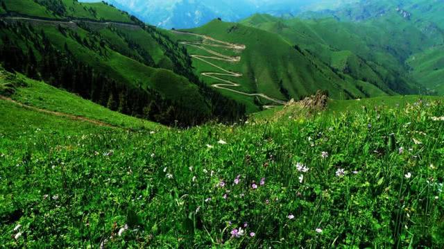 回归祖国22年的夏尔西里有多美?曾被央视称为"最后一片净土"