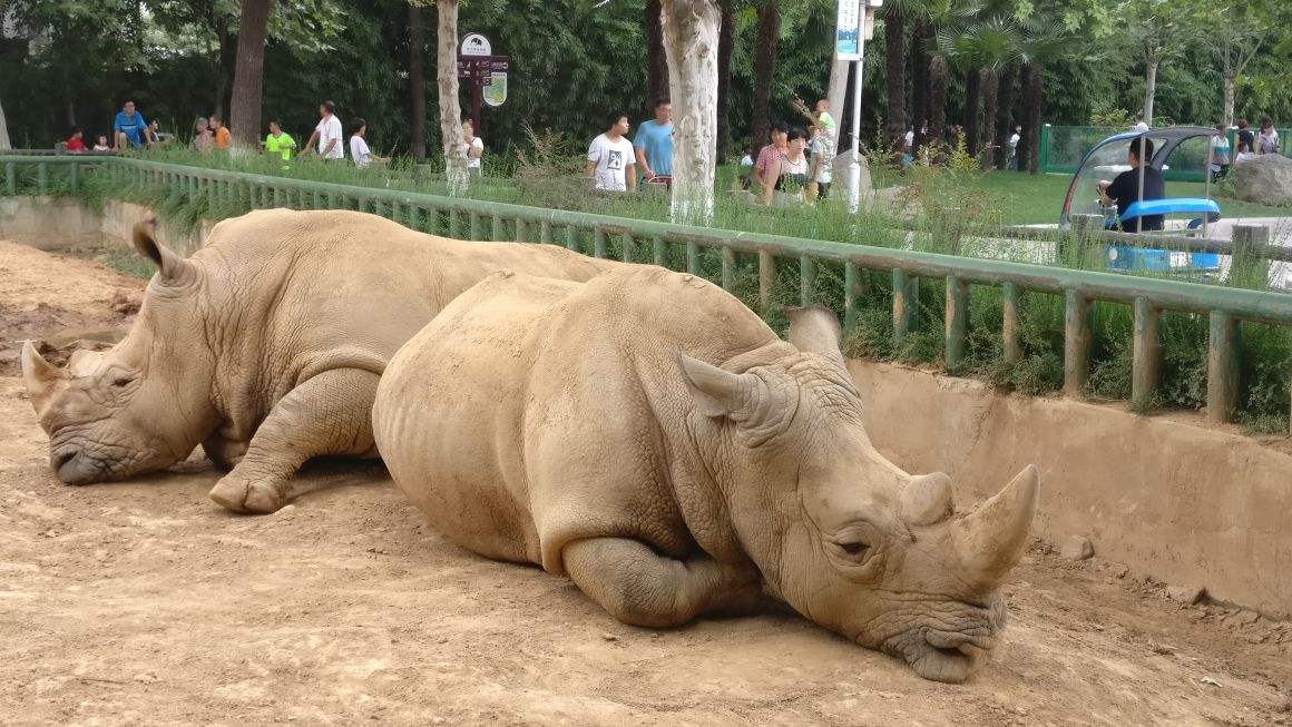 郑州市动物园:一百多种珍稀动物等你来观赏