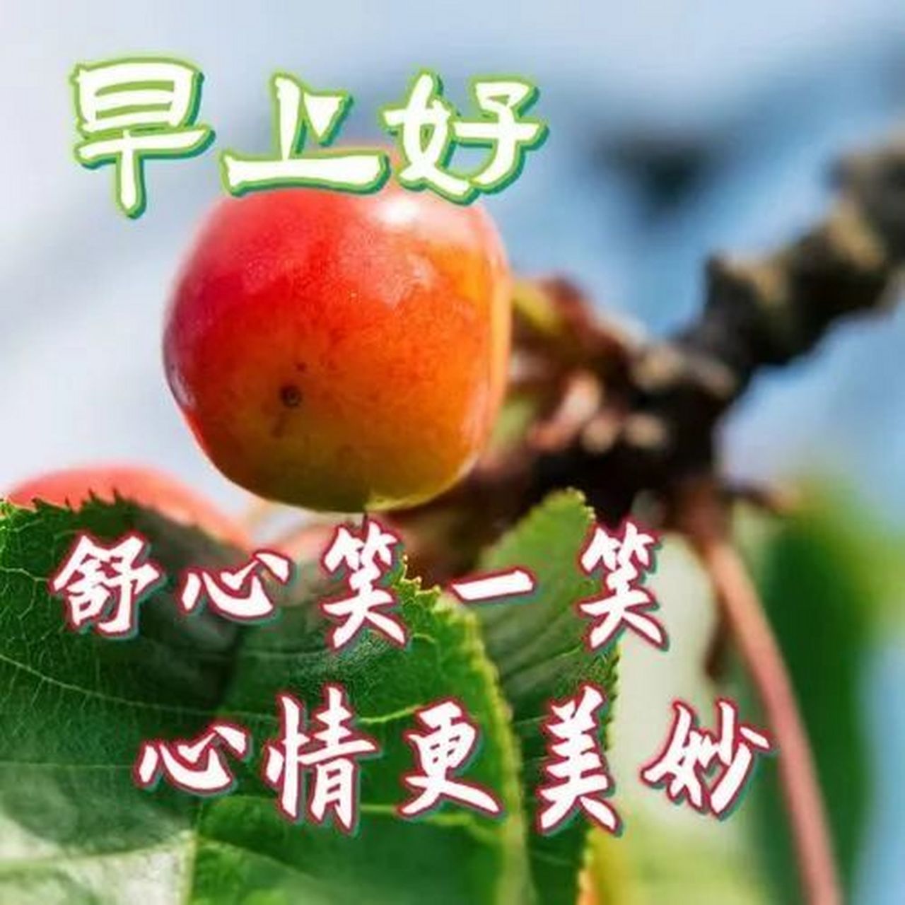 感悟人生 感慨人生的句子#早安心语#  #早安图片# #早上问候语# #早上