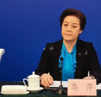 女官员高萍落马