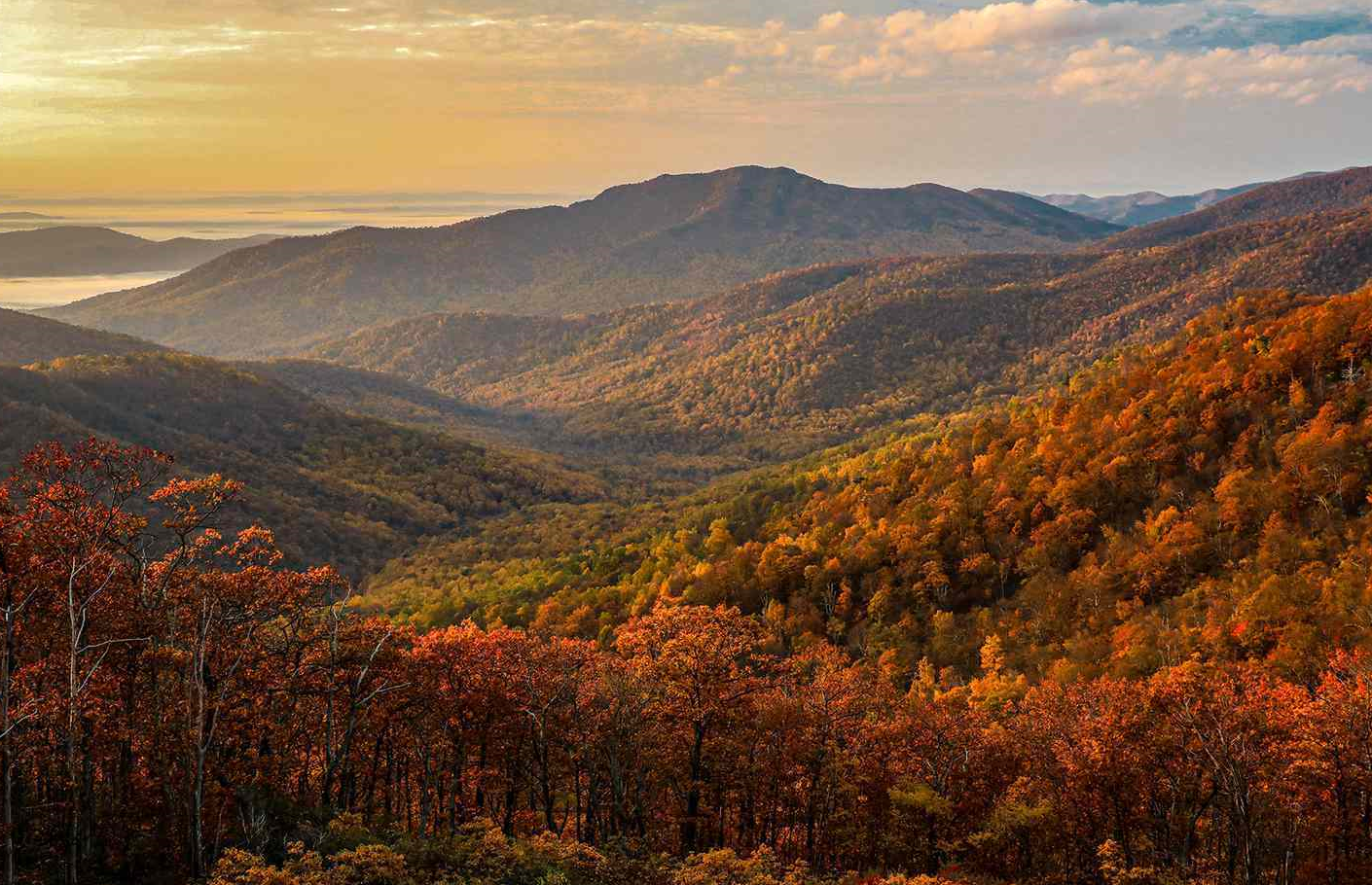 探秘:阿巴拉契亚山脉中的野生动物,悠闲的山地"居民"!