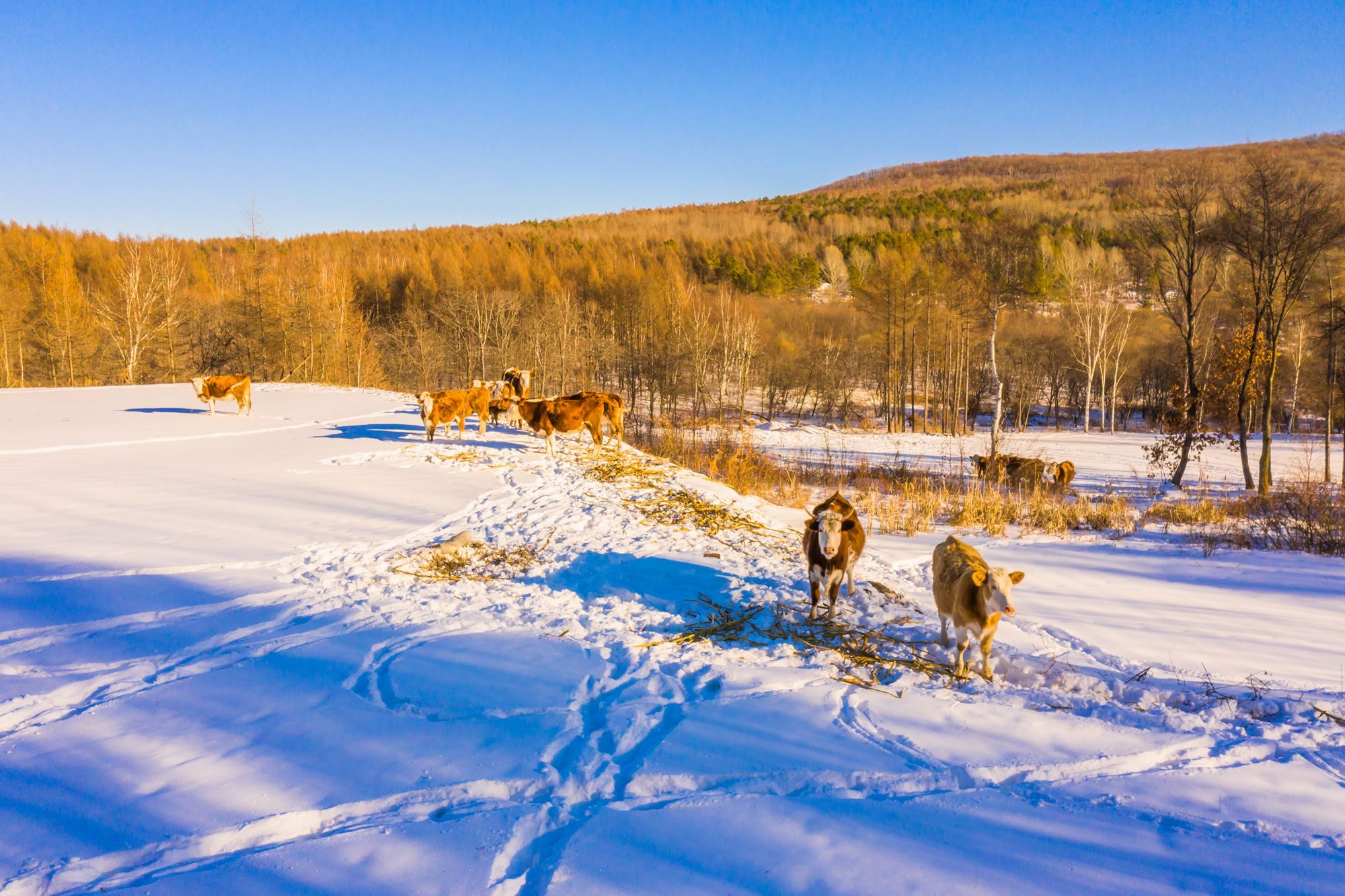 牡丹江绥芬河,一座被火车拉来的城市,冬季充满异国风情
