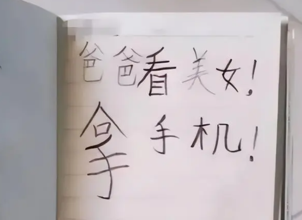 "爸爸看手机找美女"!小学生"记仇本"火了,妈妈:好孩子