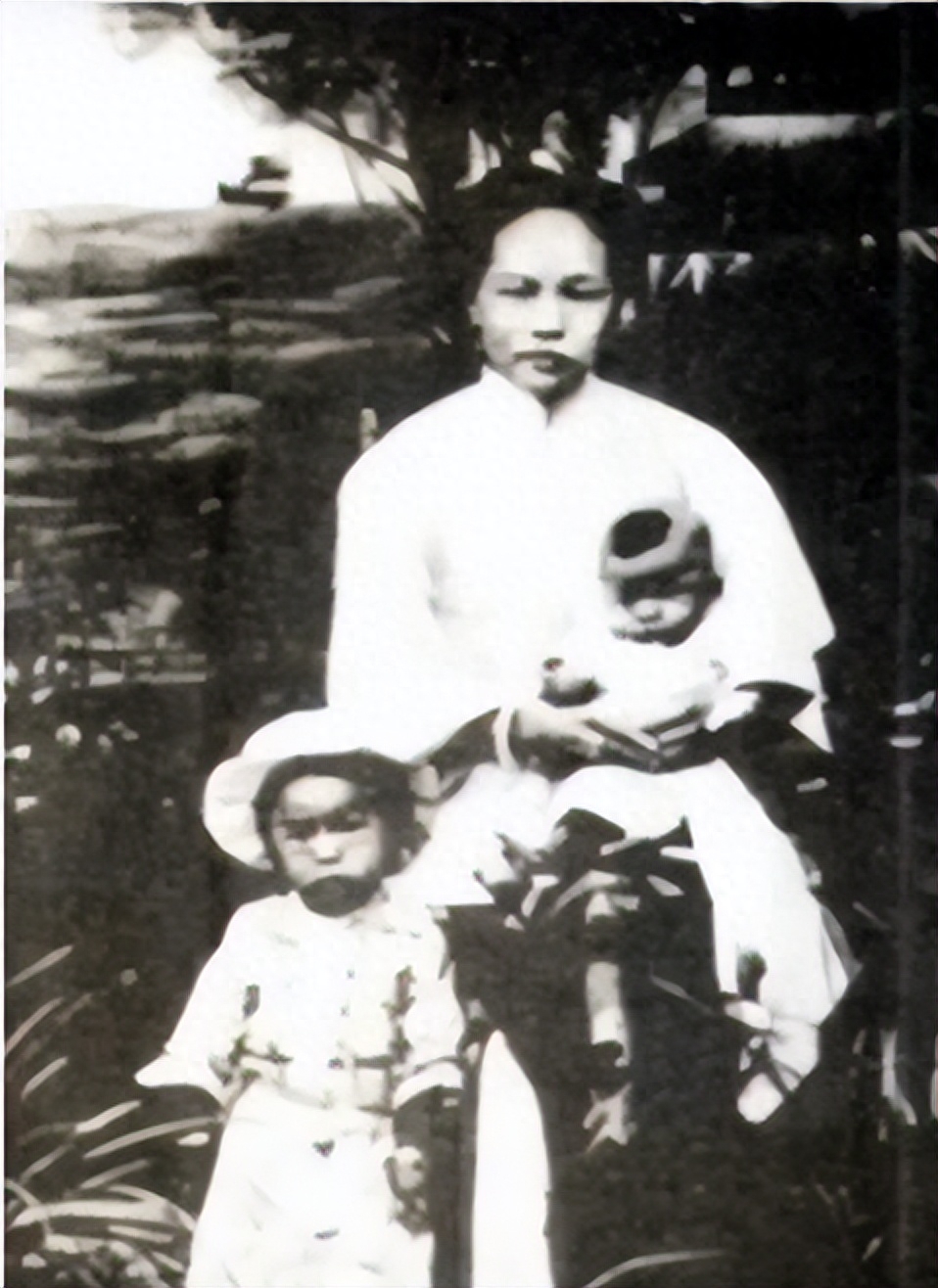 93年杨虎城妻子病逝,子女们向政府提出一请求,组织批示:同意