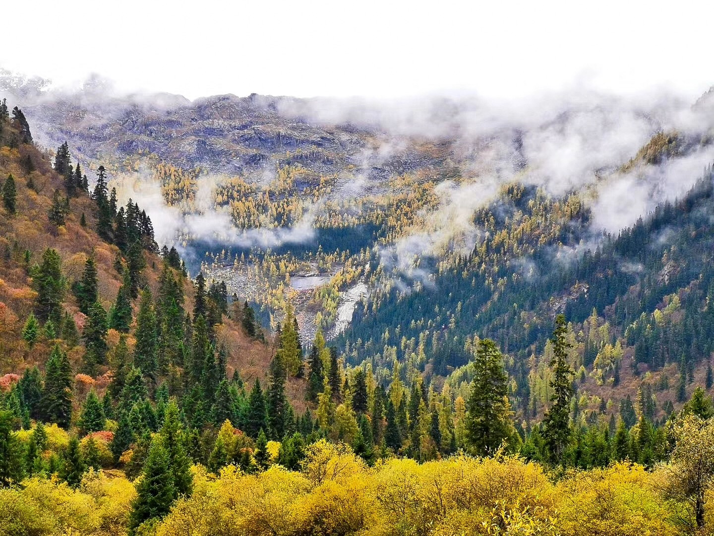 达古冰川彩林季攻略出炉,各种美景一网打尽!