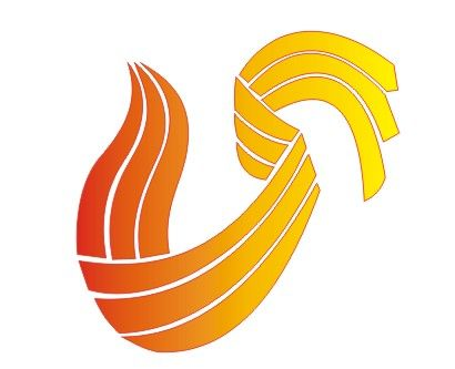 山东卫视是中央备用电视台吗?