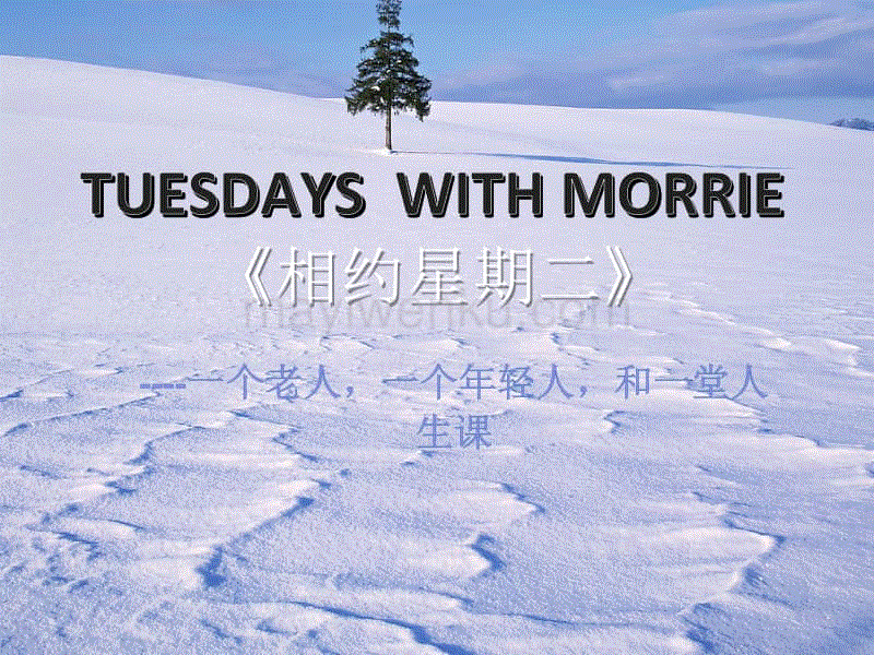 《相约星期二》珍视一切人与物