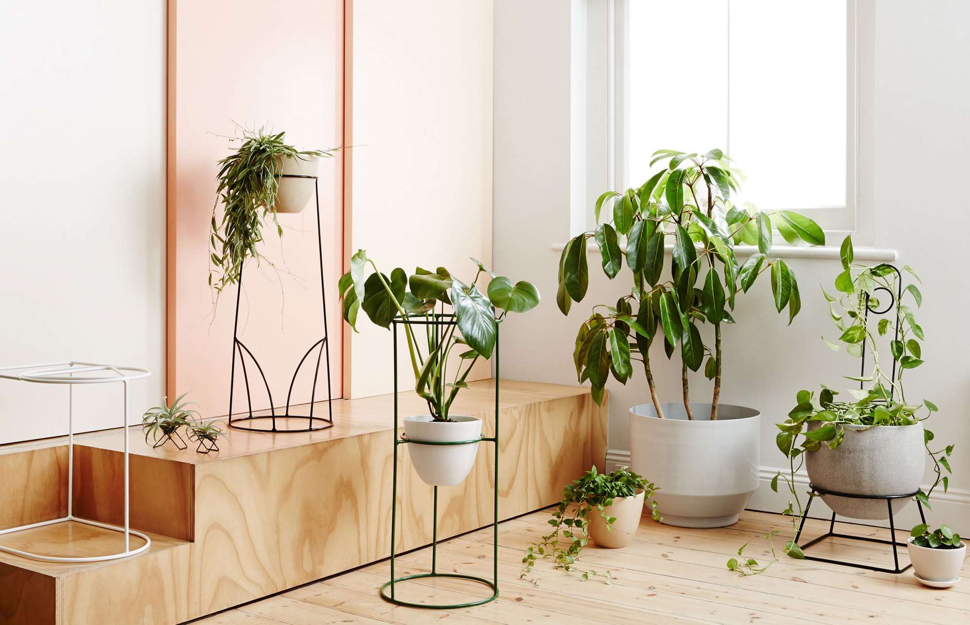 现代家居设计中室内绿化有什么作用?做好这几点,让家装更安心