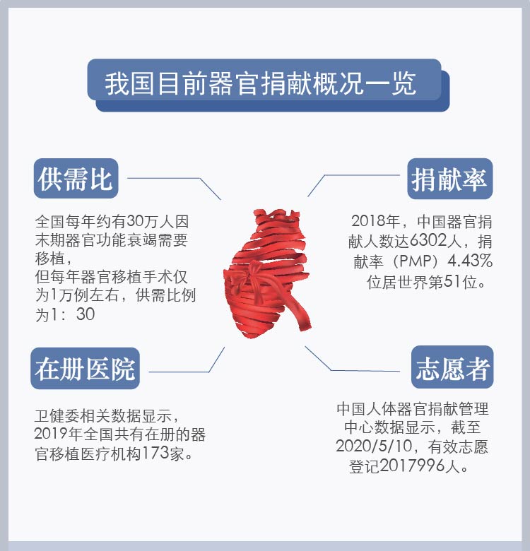 器官捐献补偿金给多少图片