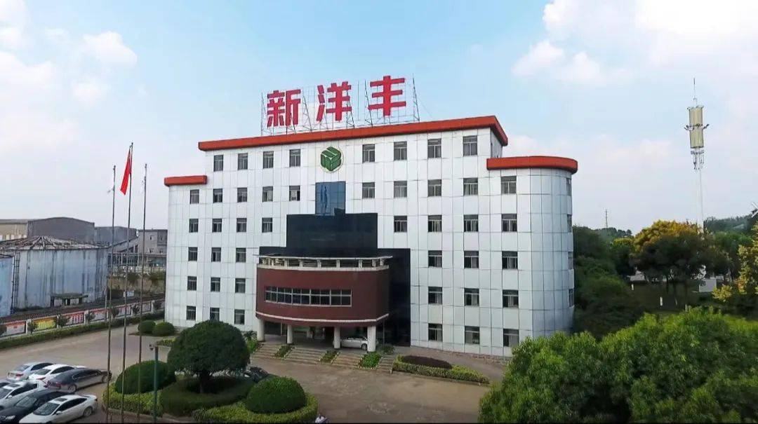 荆门东宝首富杨才学:打造化肥生产龙头企业,如今身家50亿